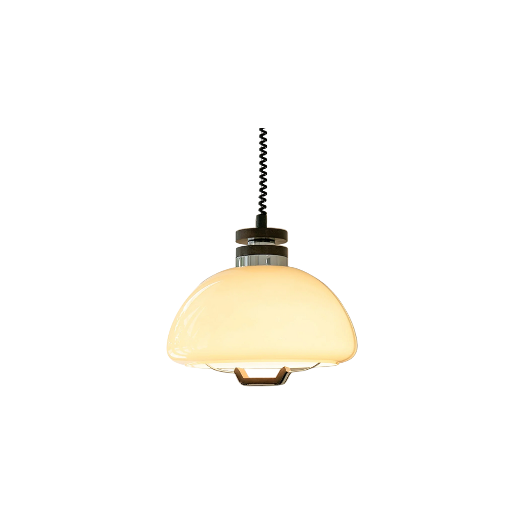 Pendant Light Velvet Finish Modern Round Shade