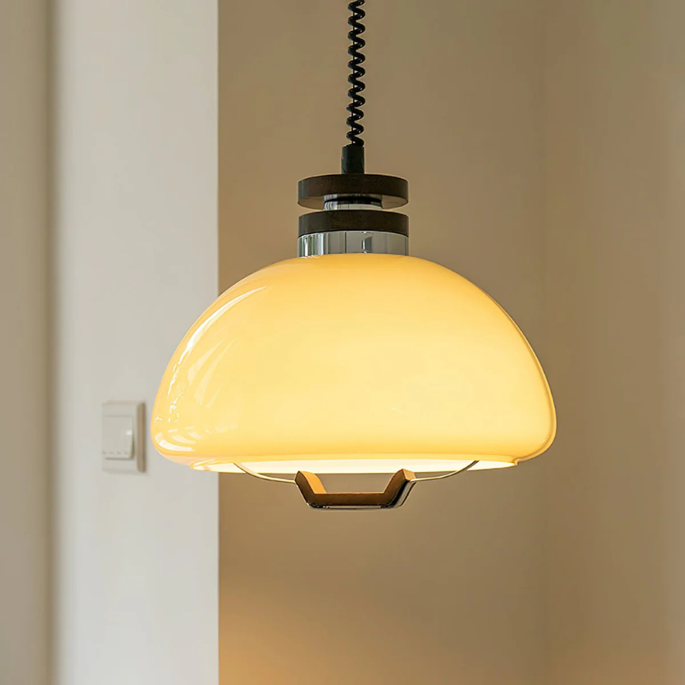 Pendant Light Velvet Finish Modern Round Shade