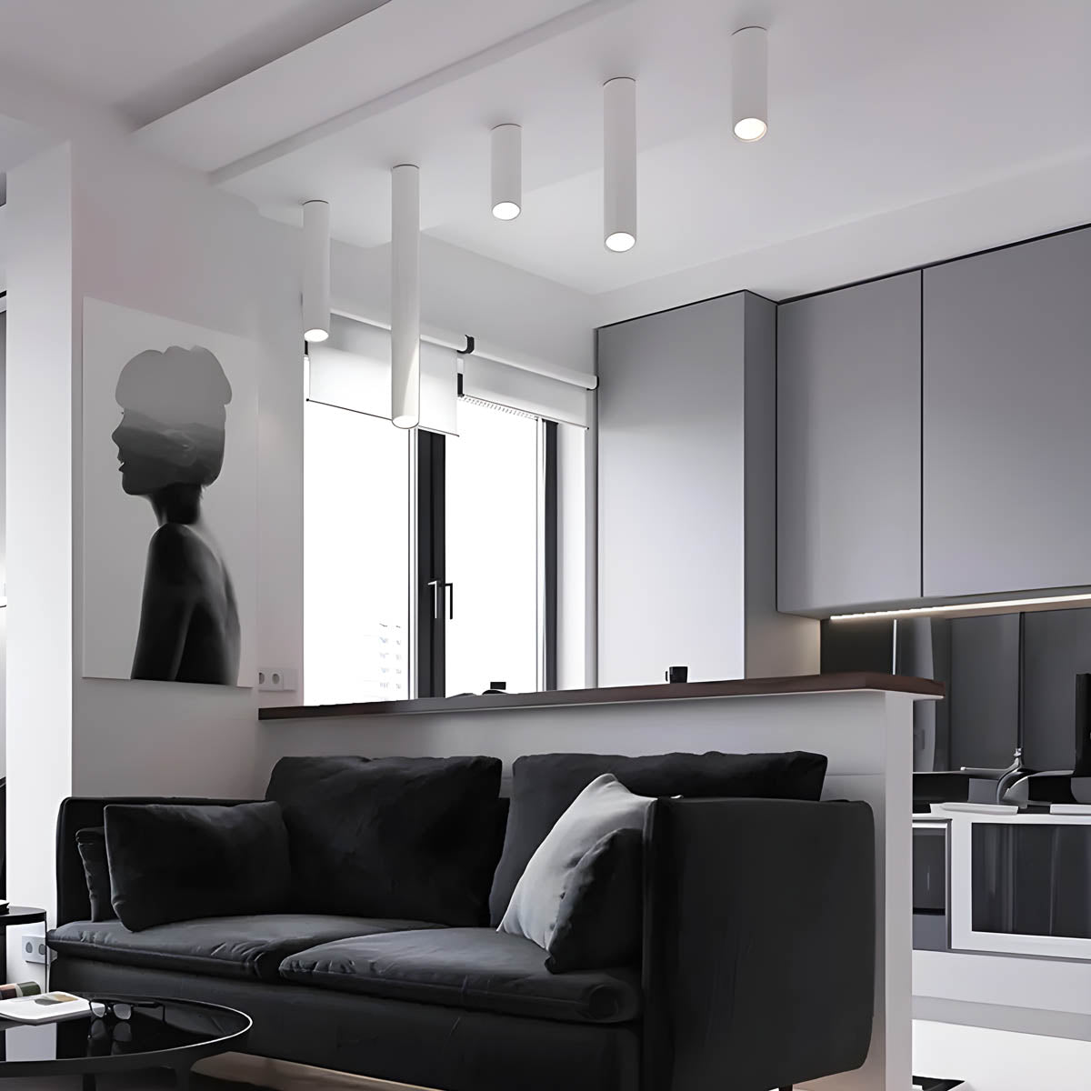 Architectural LED COB Surface Spotlight 20-50 cm