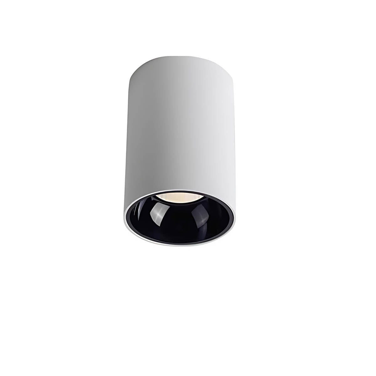 Surface-Mount LED COB Spot Light 10-24 W