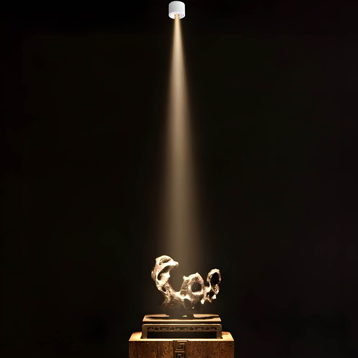 Adjustable Aluminium Surface-Mount LED Spotlight – Dimmable, 3°–24° Beam