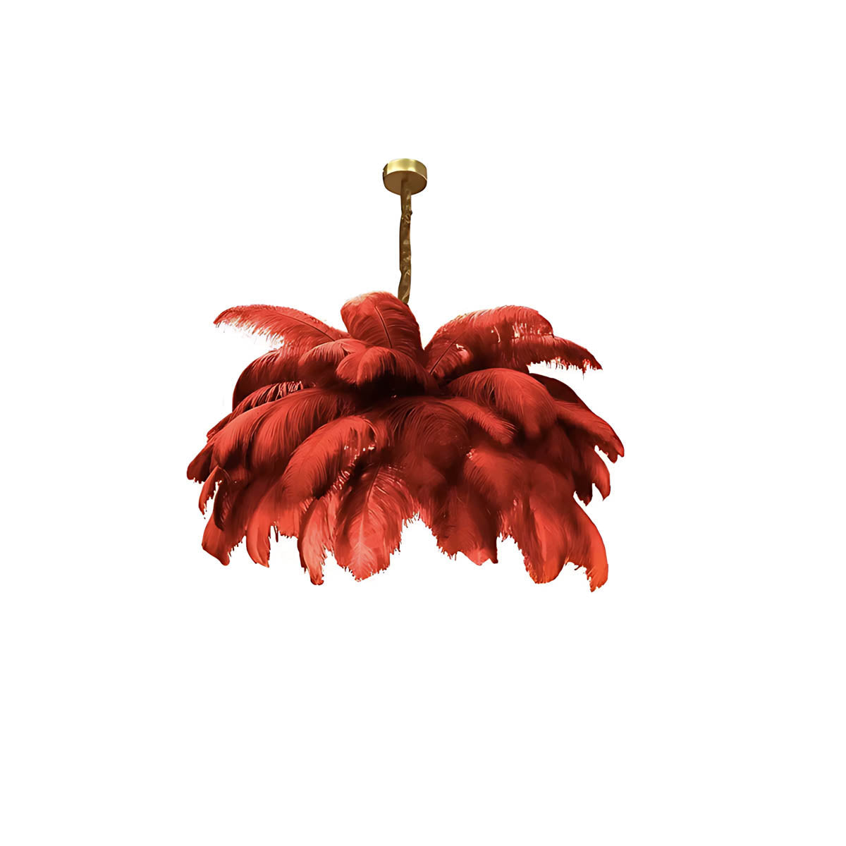 Pendant light with ostrich feathers & iron frame