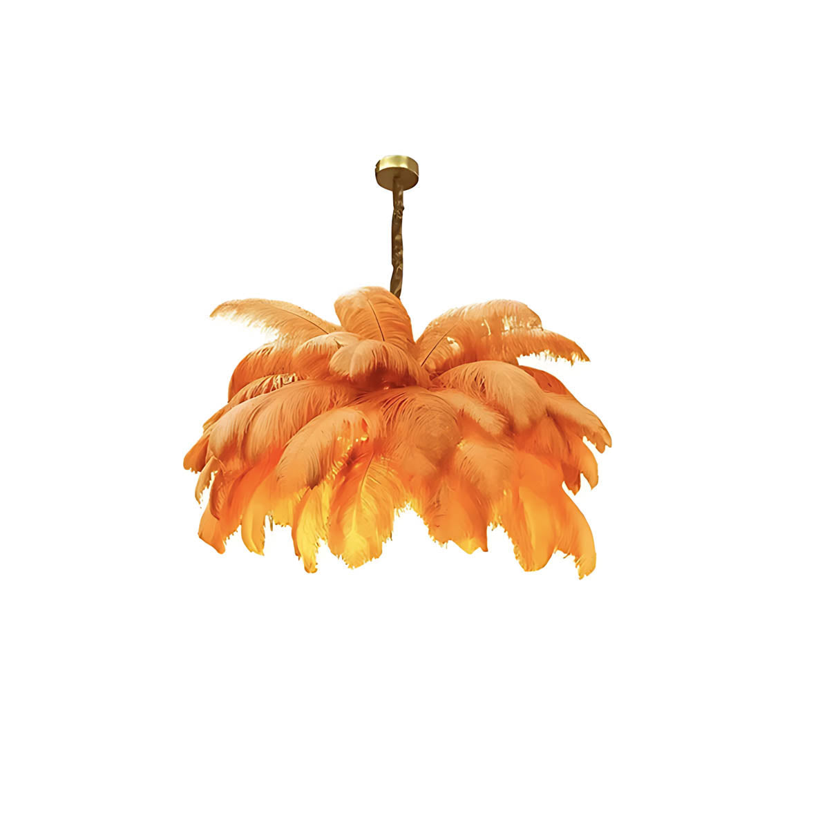 Pendant light with ostrich feathers & iron frame