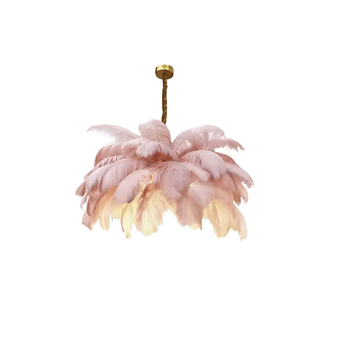 Pendant light with ostrich feathers & iron frame
