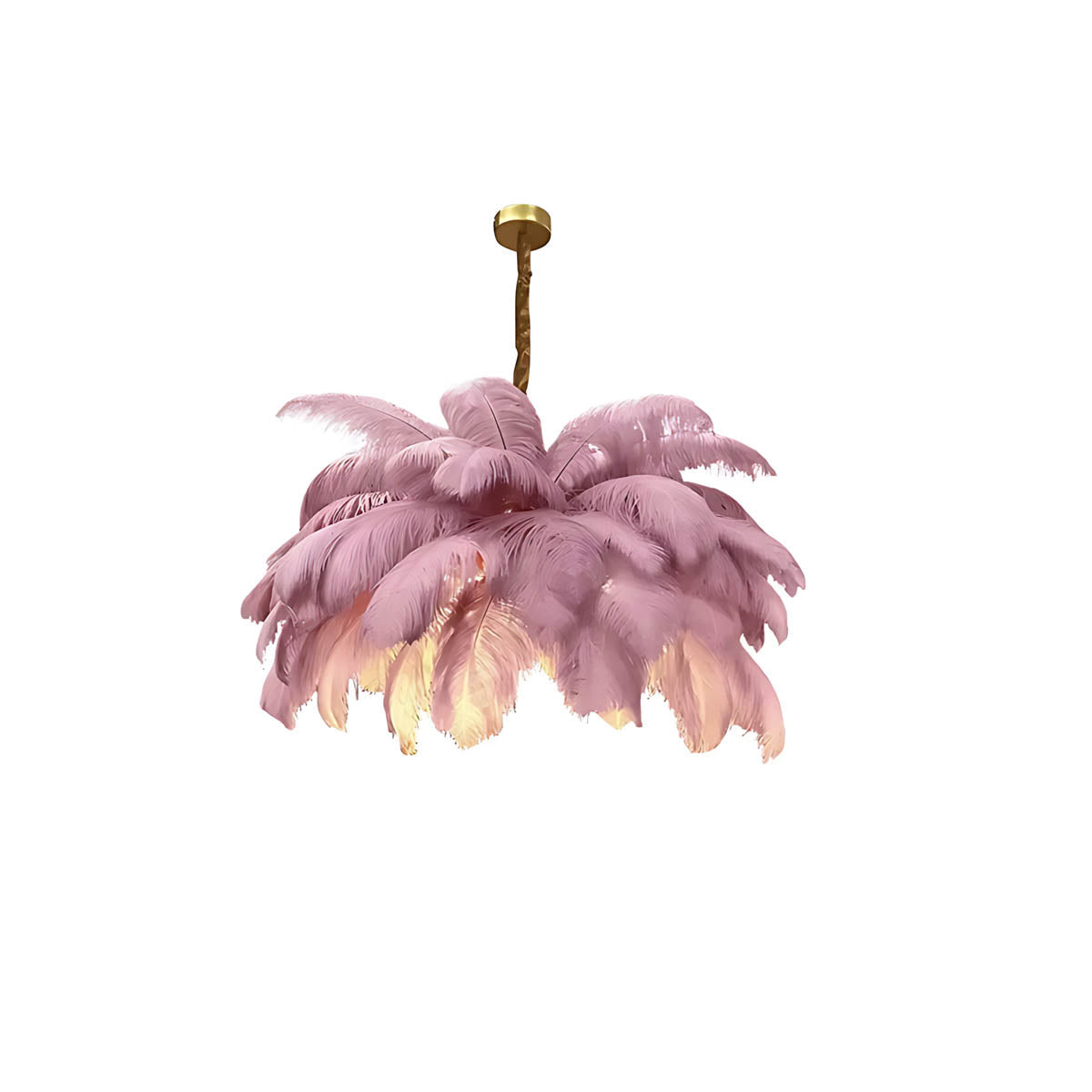 Pendant light with ostrich feathers & iron frame
