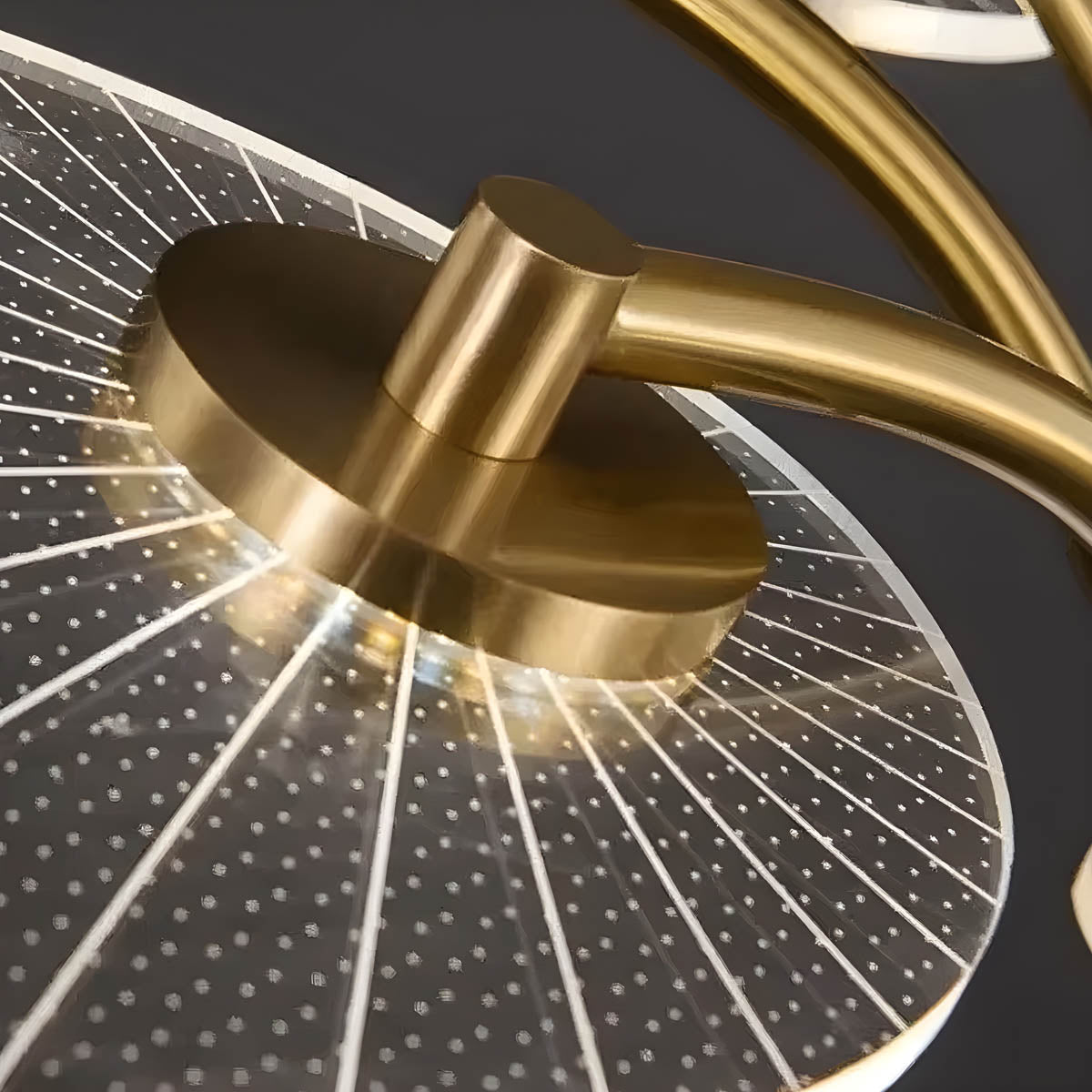 Modern acrylic and metal leaf chandelier