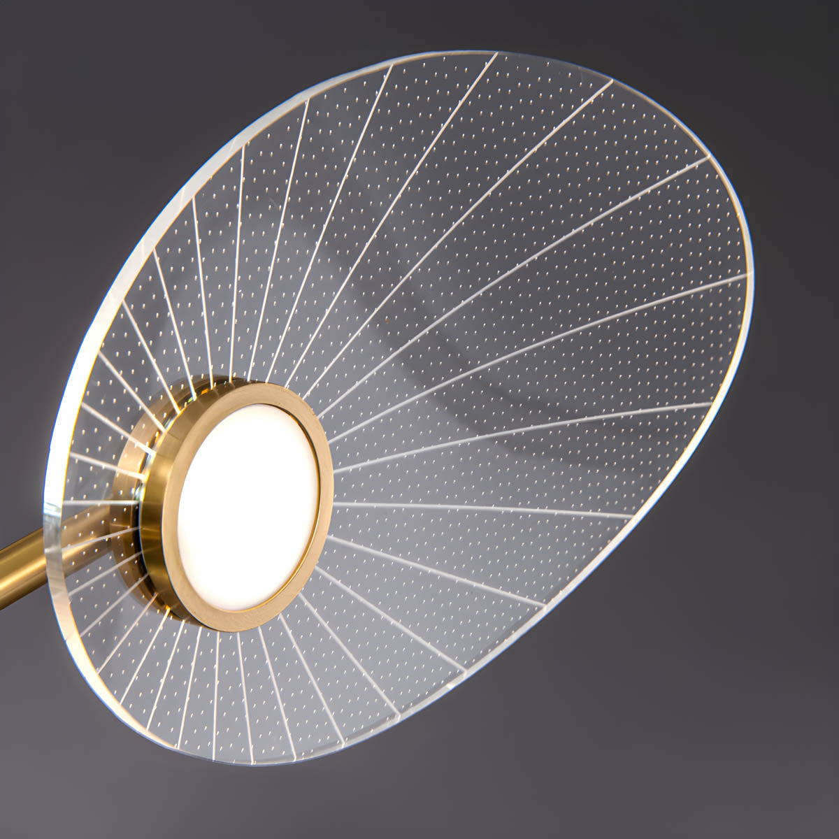 Modern acrylic and metal leaf chandelier