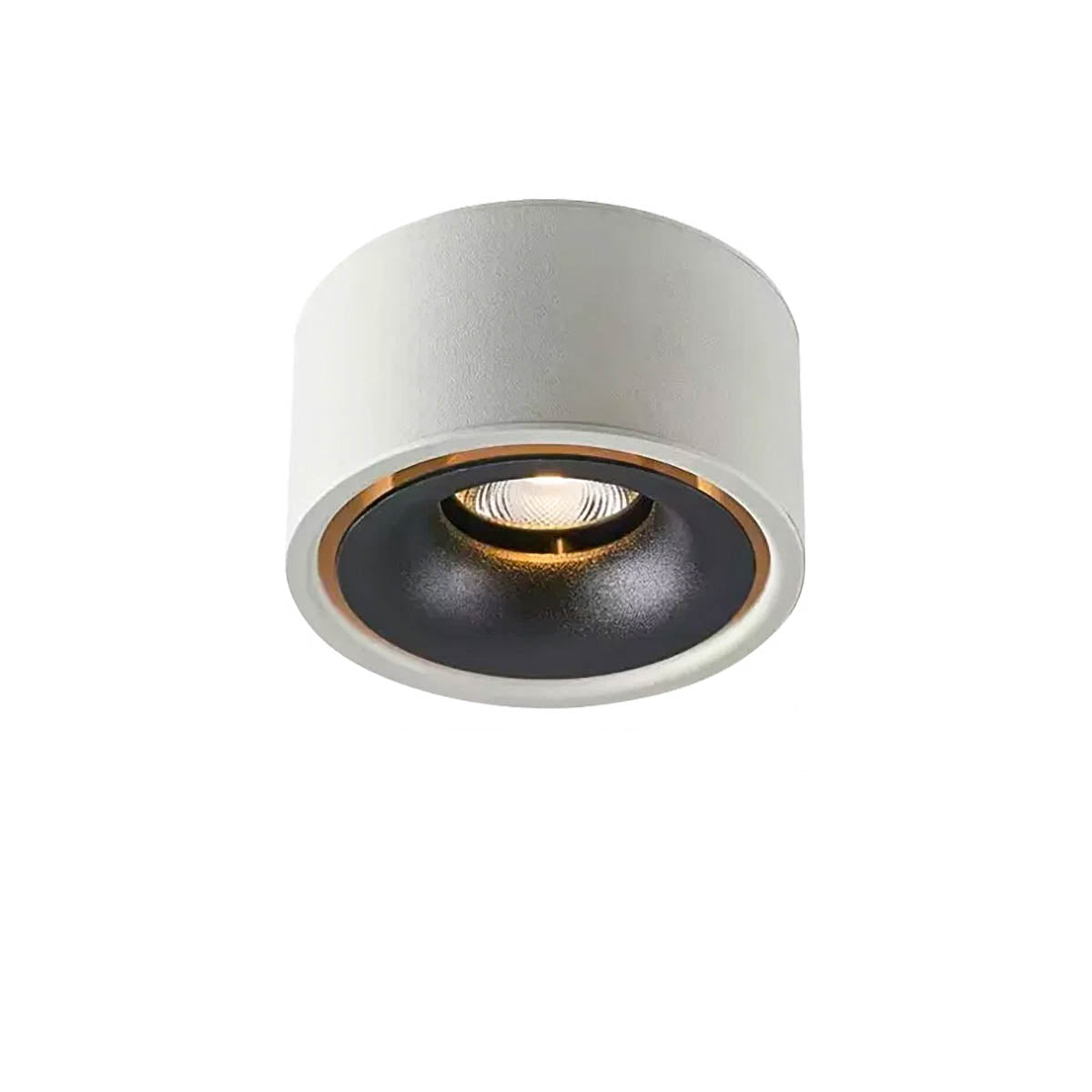 Aluminium Acrylic Dimmable COB Spotlight MIREYA DIM