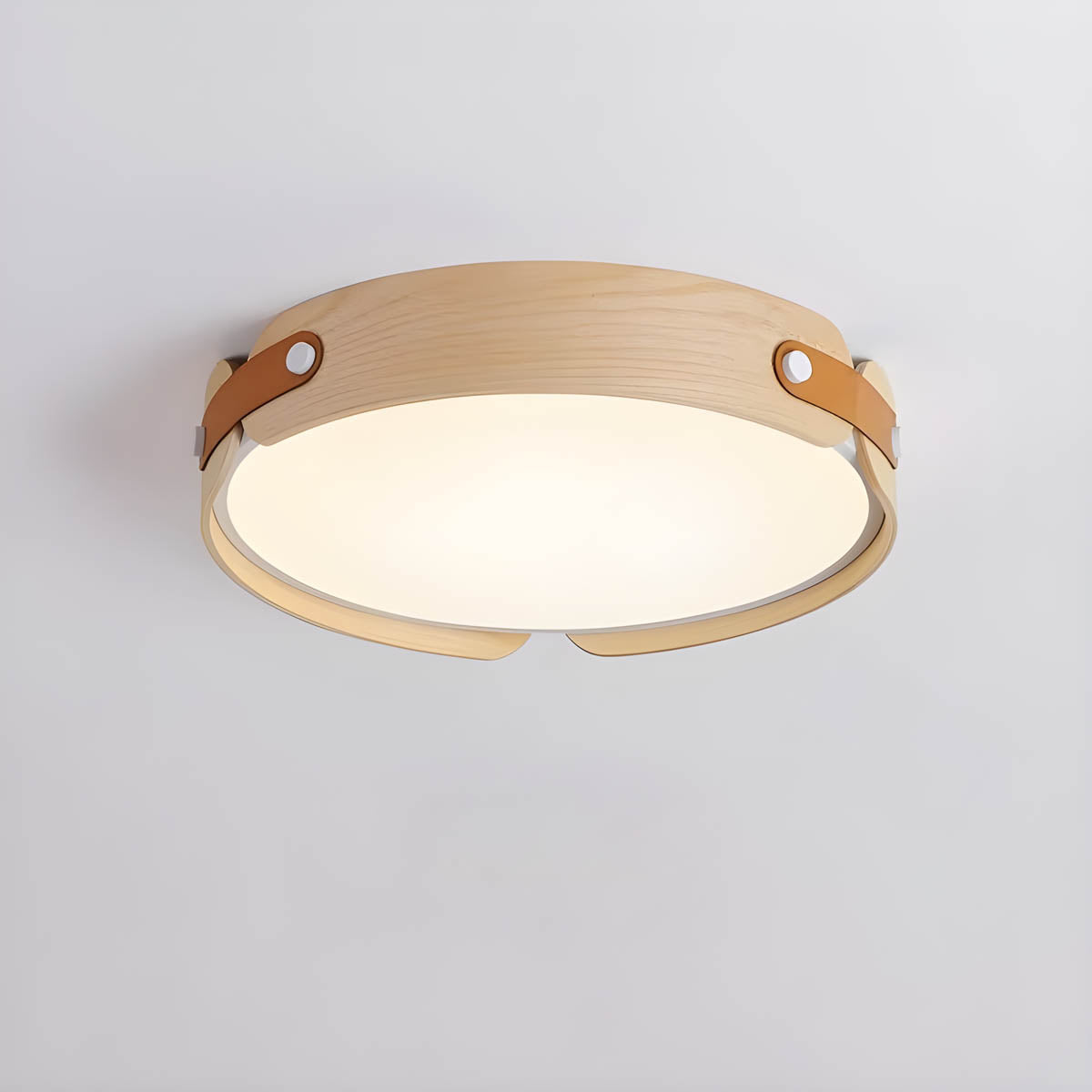LED surface-mount ceiling light